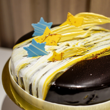 Malagos Dark Chocolate & Pili Praline Entremet