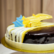 Malagos Dark Chocolate & Pili Praline Entremet